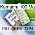 Kamagra 100Mg 11
